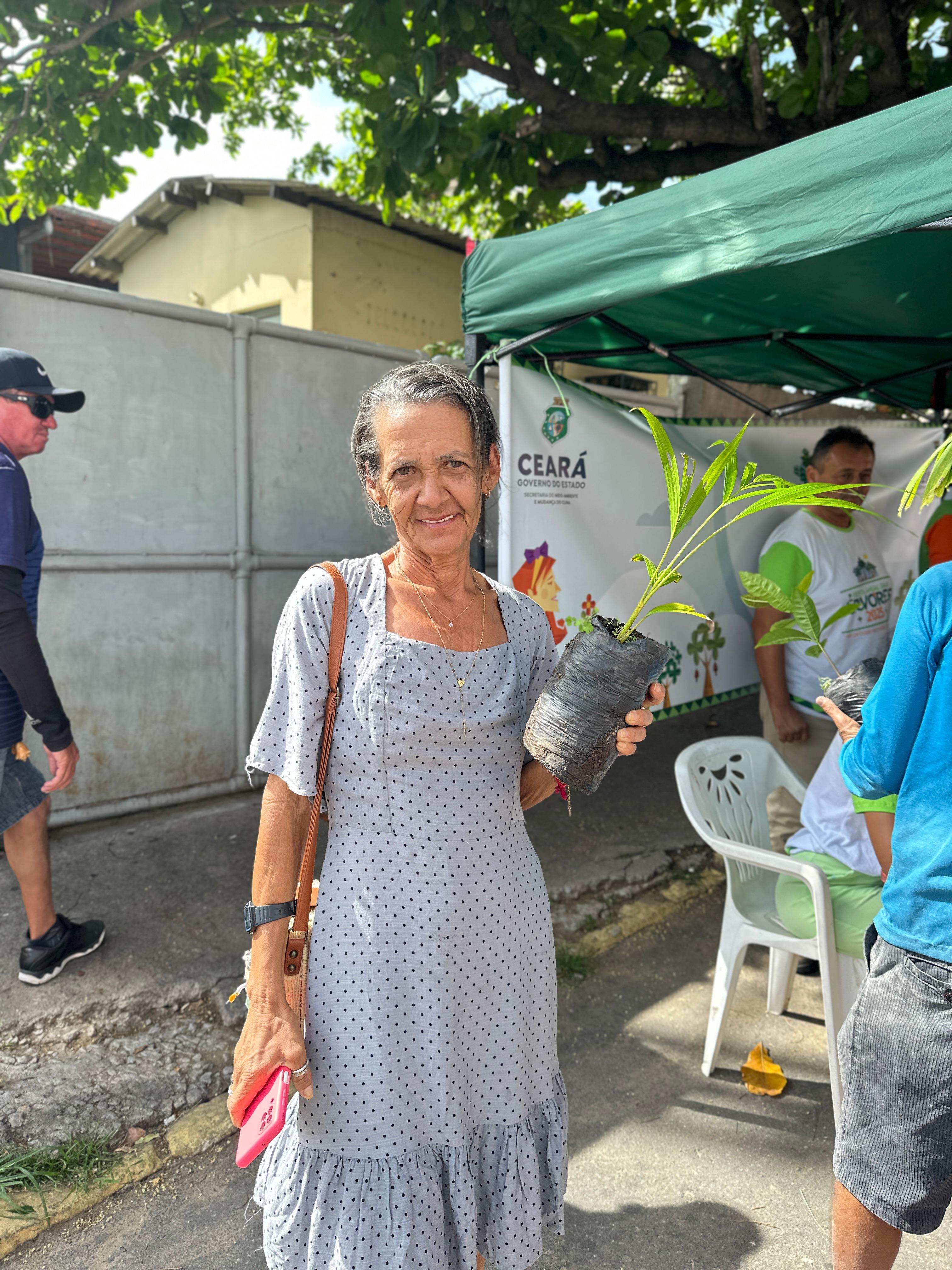 Foto 8 — Distribuição de plantas na feira