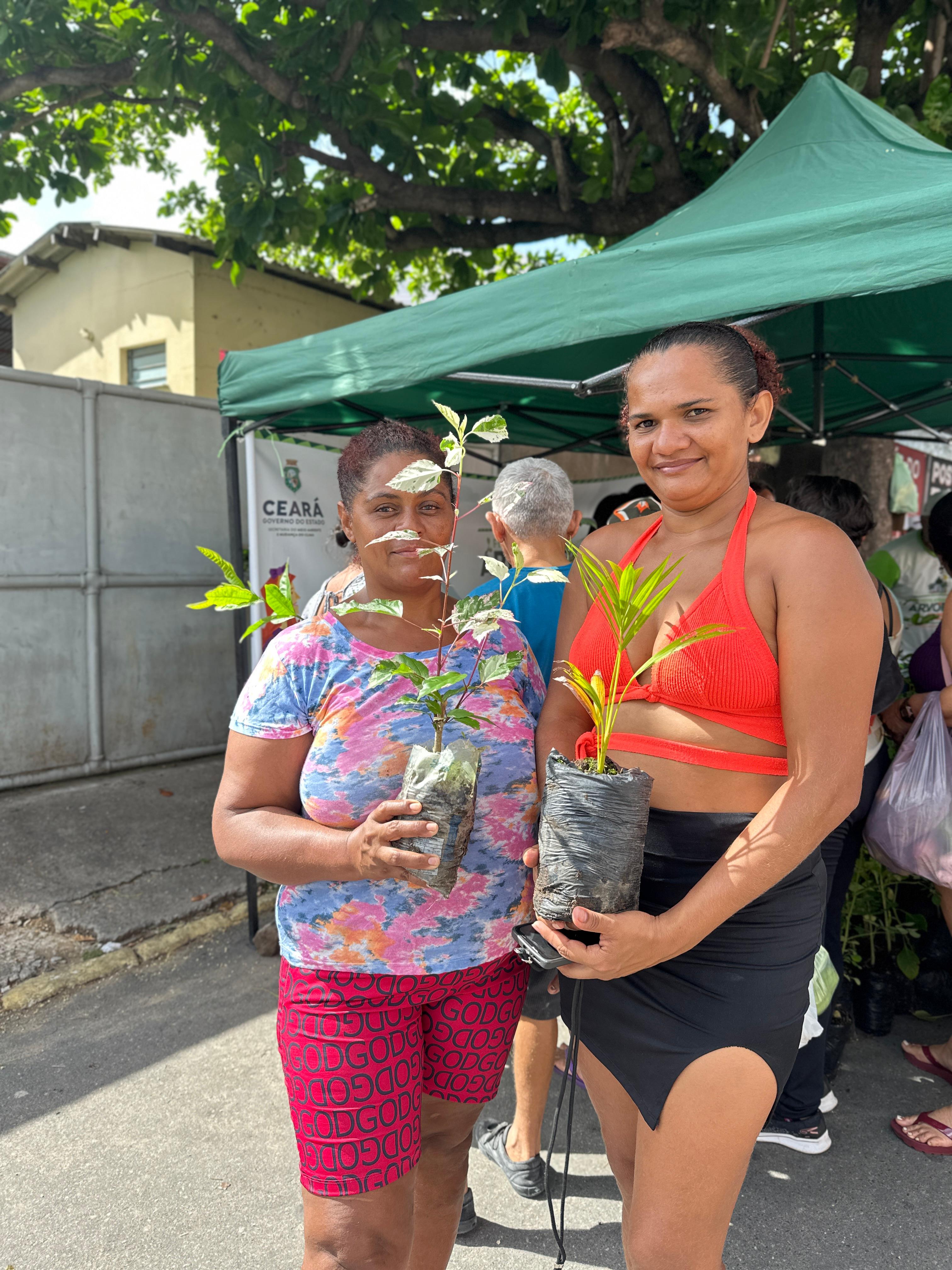 Foto 9 — Distribuição de plantas na feira