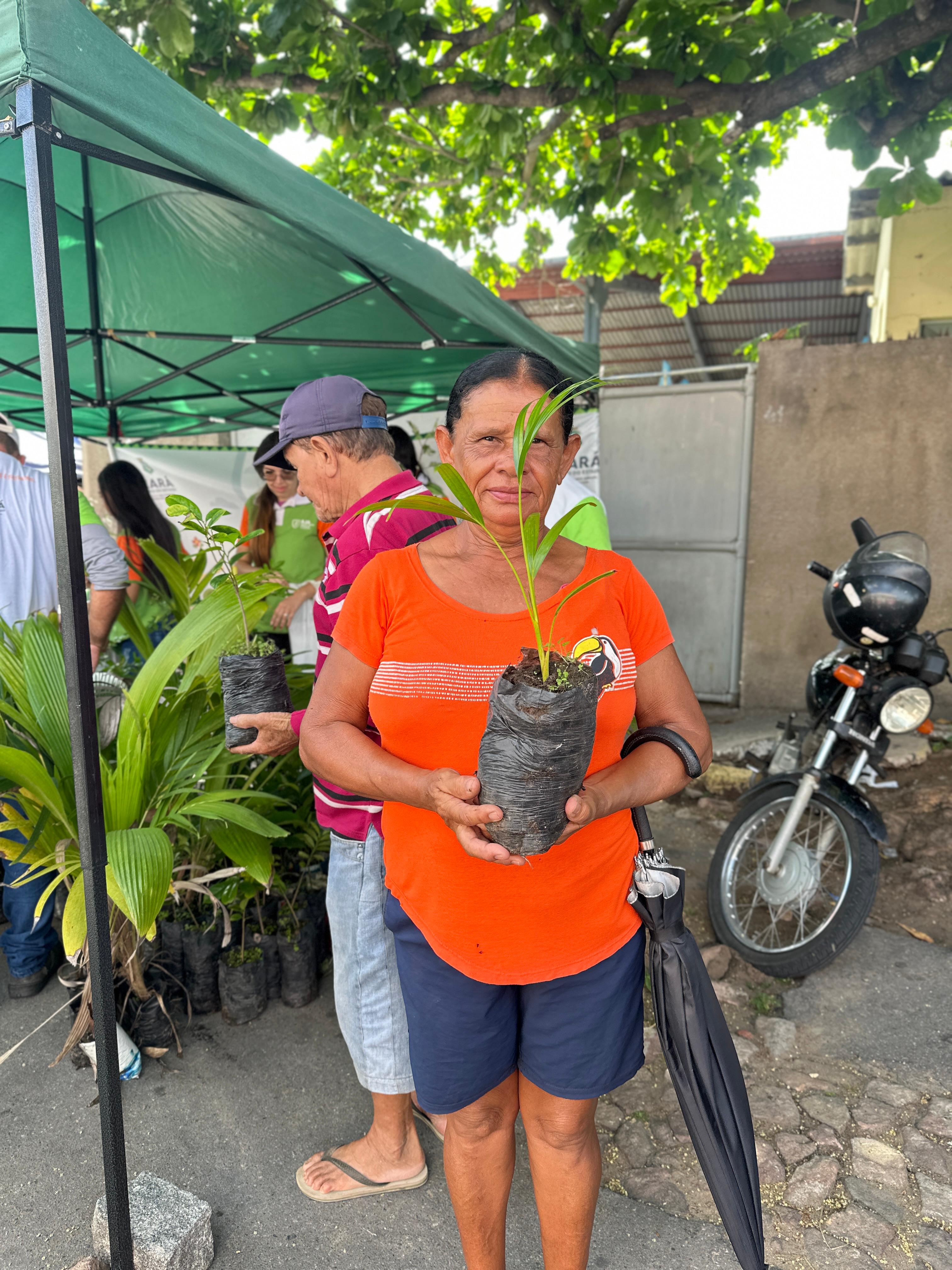 Foto 4 — Distribuição de plantas na feira