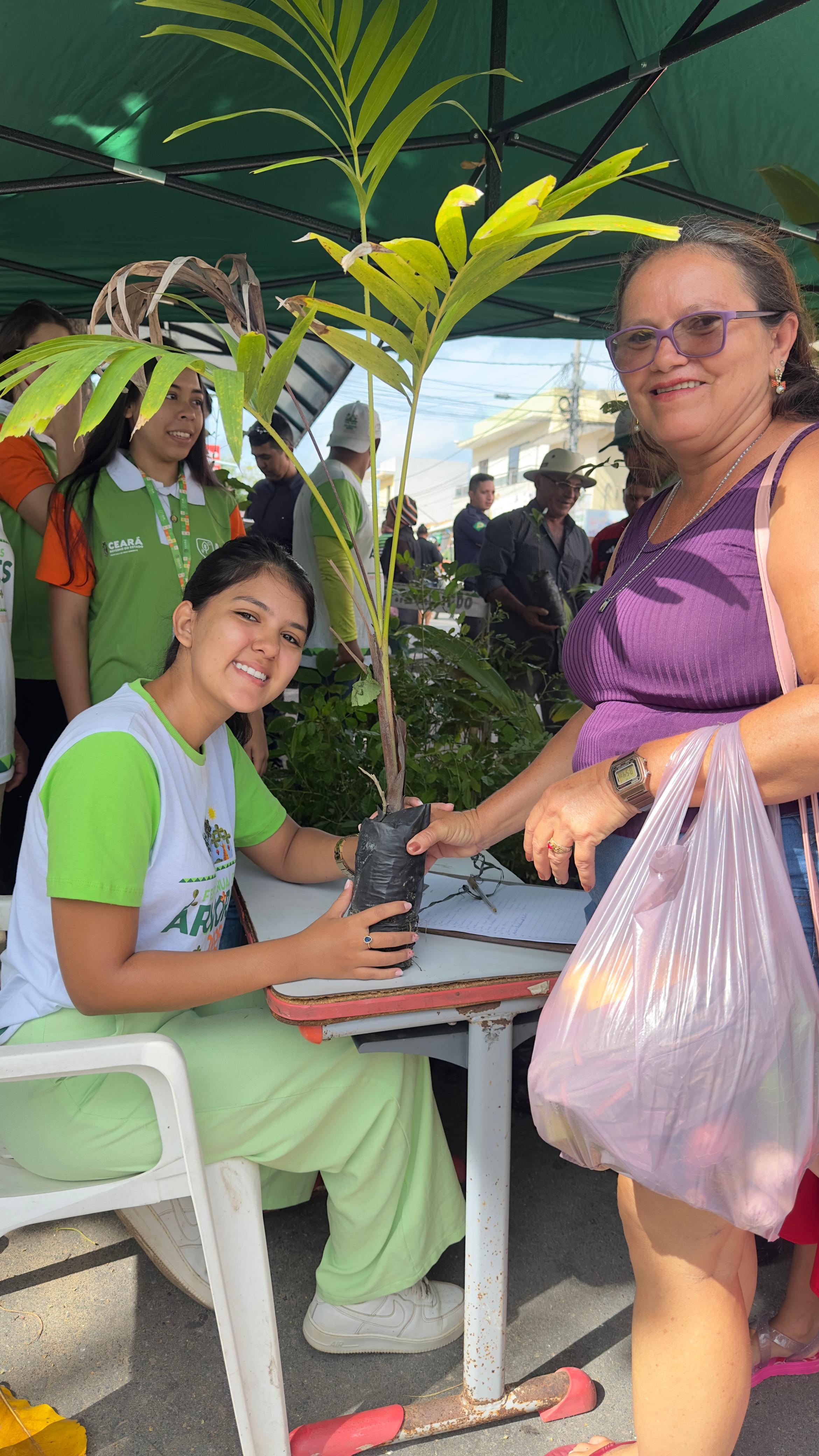 Foto 10 — Distribuição de plantas na feira