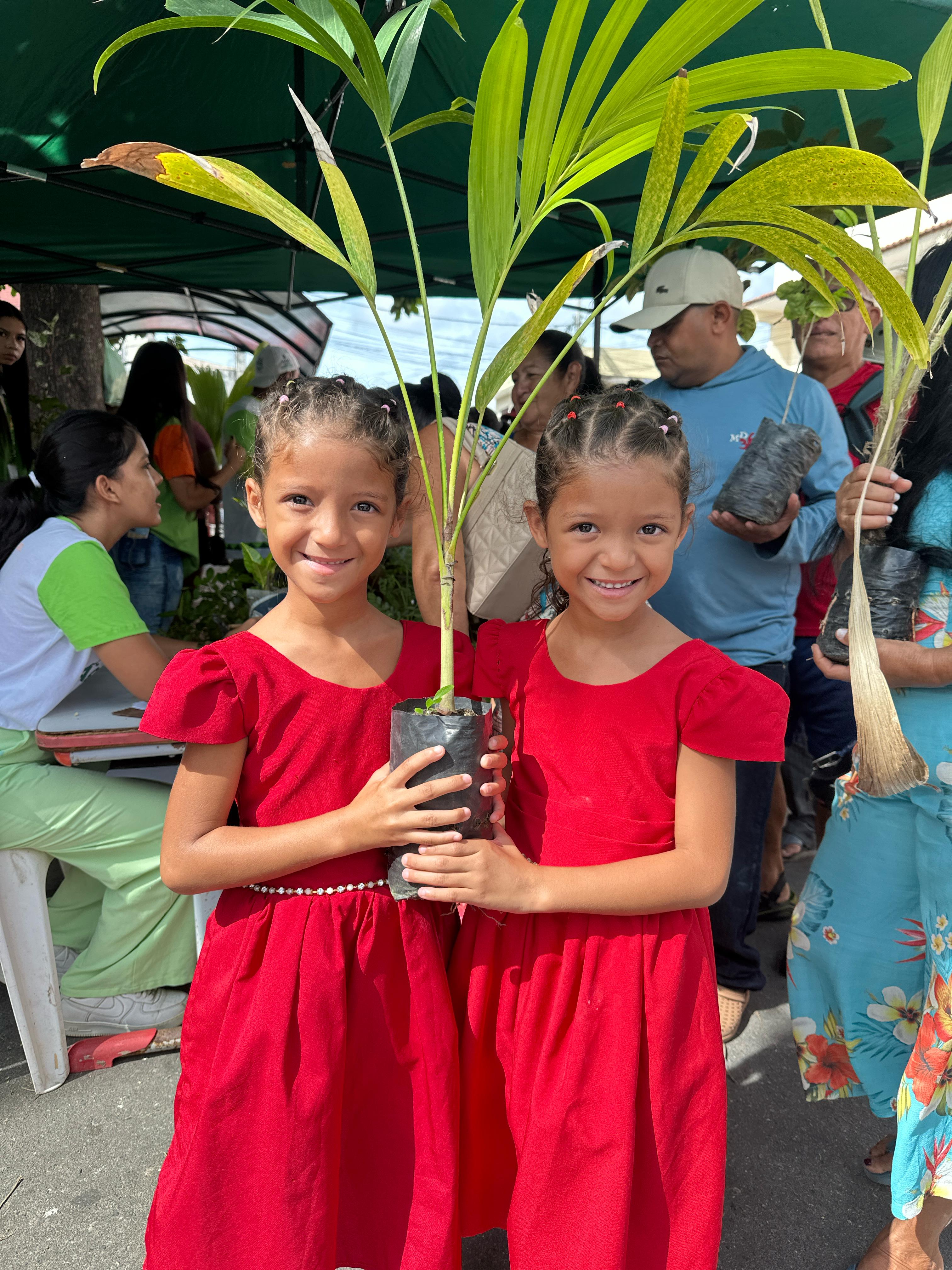 Foto 1 — Distribuição de plantas na feira